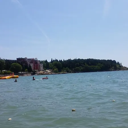 Global City Misivri